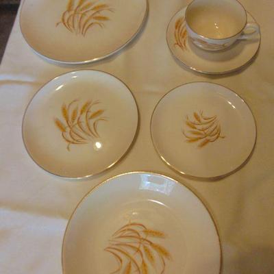 Golden Wheat dishes (52pcs.)