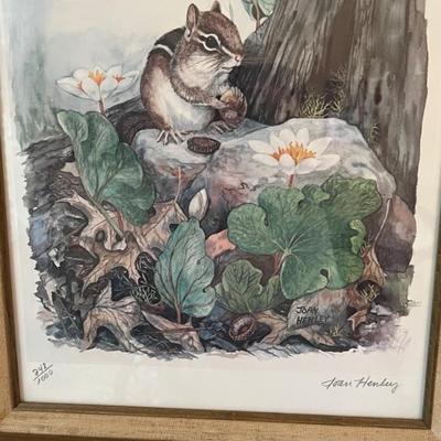 Wildlife print by Joan Henley, signed & numbered 248/1000