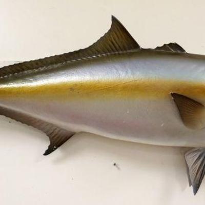 1119	WALL MOUNTED FISH, APPROXIMATELY 45 IN

