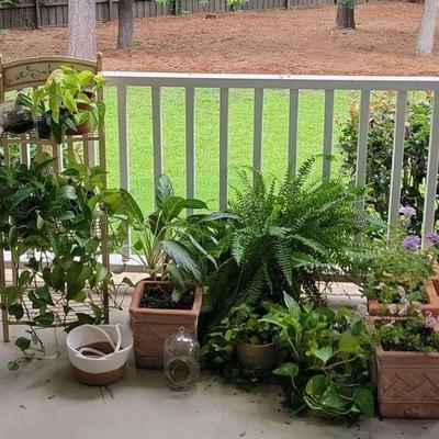 "Exploring Bartram Trail" in Evans, GA. Starts Closing 8pm Thu 6/29. Pickup is Fri 6/30 2-6p. Please click here to see more...