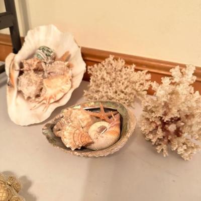 Sea shells by the sea shore,