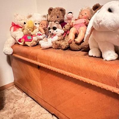 Nice hope chest