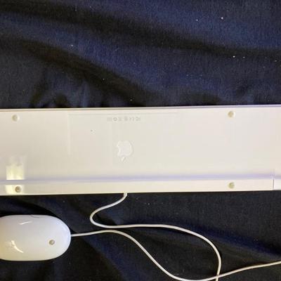 Apple jet board and mouse 