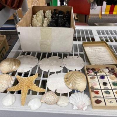 #2562 â€¢ Sea shells, Chess Pieces and Gem stones
