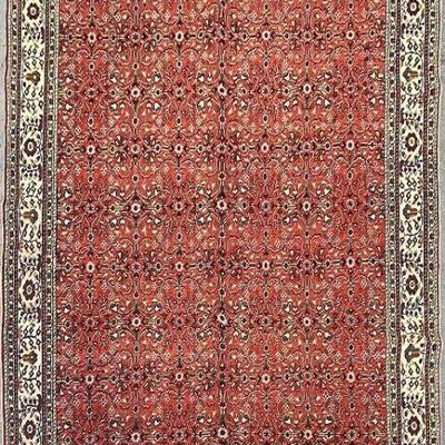 Turkish Hand-Knotted Rug 9'4