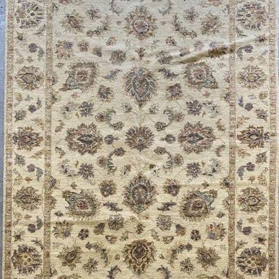 Pakistani Hand-Knotted Rug 6'2