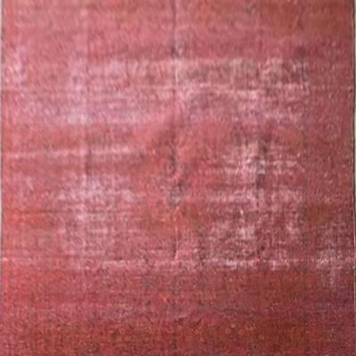 Hand Knotted Pakistani Rug 11'10" x 8'6" R15428...