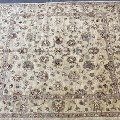 Pakistani Hand-Knotted Rug 8'0