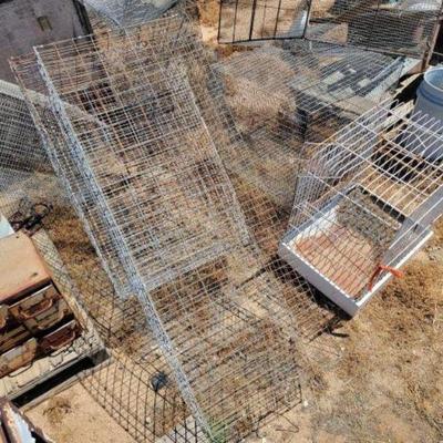 #1258 â€¢ 10 Assorted Birdcages
