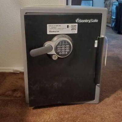 #3566 â€¢ Sentry Safe
