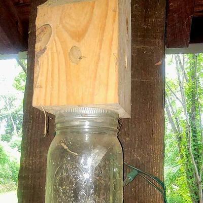Bee/wasp catcher