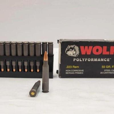 #1637 â€¢ 20 Rounds of WOLF .223 Rem Ammo
