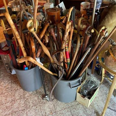 Canes, canes, and more canes