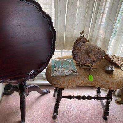 Antique Occasional Table and original feather and bark Peacock