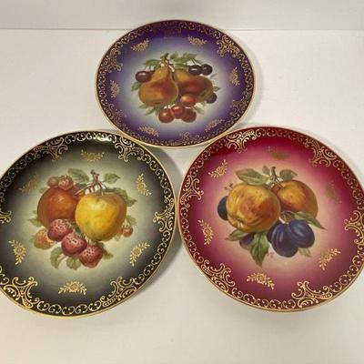 Mitterteich Bavaria Hand Painted Porcelain  Plates