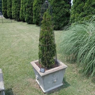 Concrete Planter