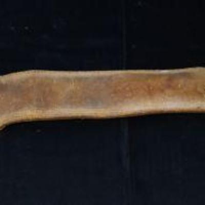 Antique Fraternal Order Sword leather case