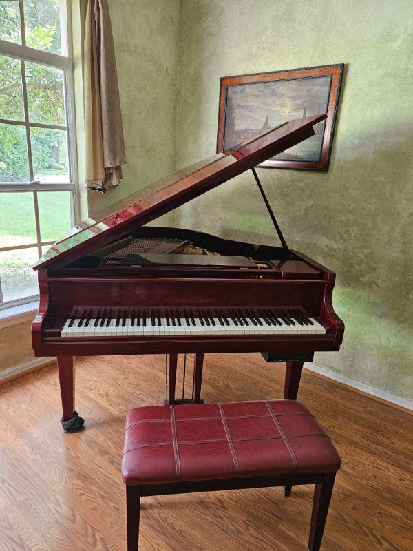 Let it Go Lifestyle in Ocoee