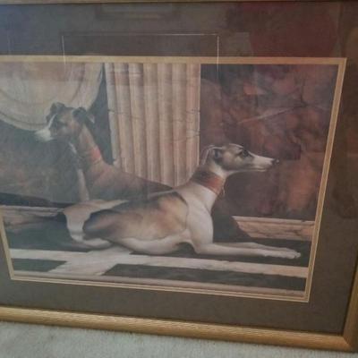 Large framed print of greyhound dogs