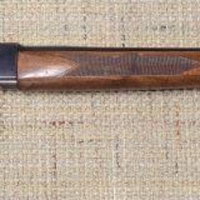 Winchester 12 ga.
