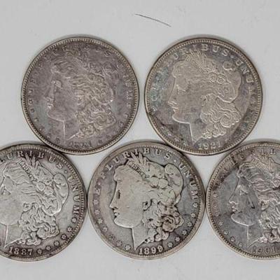 #1404 â€¢ (5) 90% Silver Morgan Silver Dollars
