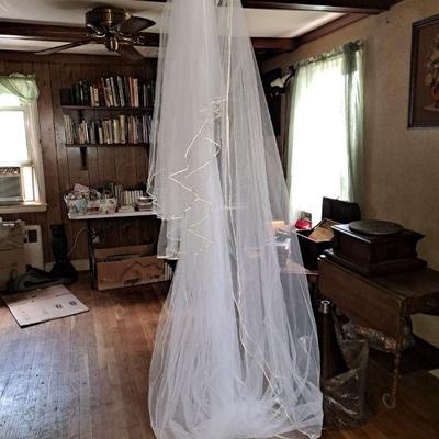 Cathedral length veil
