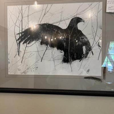 Wild bird