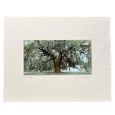 HARRIET BLUM (20TH CENTURY) PHOTOGRAPH | The Tree hand-tinted photograph print 3 x 6.25 in., sight pencil signed lower right, titled...