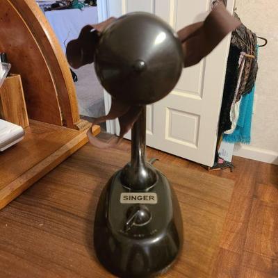 Singer Fan