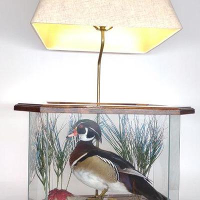 Wood Duck Taxidermy Mount Lamp (Works)