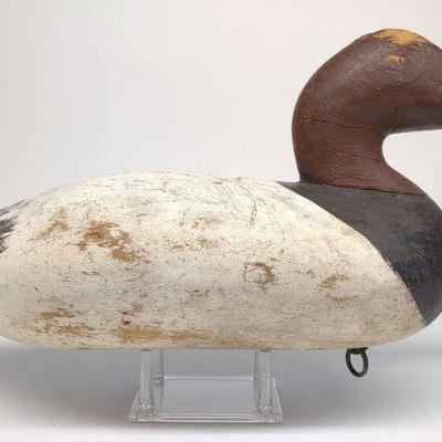 Early Madison Mitchell Canvasback Duck Decoy