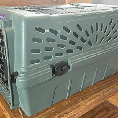 cat carrier