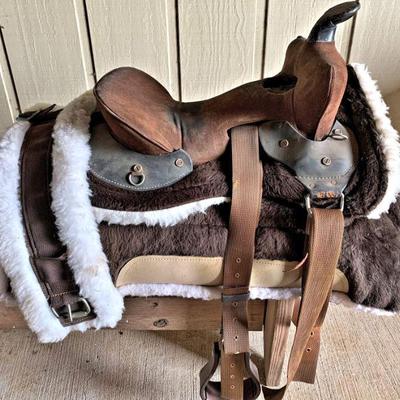Another saddle