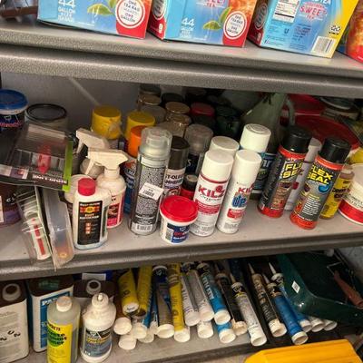 Contents of 2 Shelves - Paints, Flex Seal, Caulk, and More