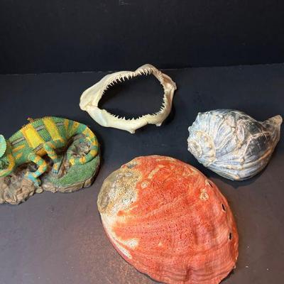 Shell, Chameleon Figurine and More