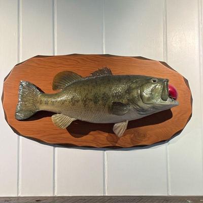 TAXIDERMY FISH | Taxidermy fish with apple in its mouth on board. - l. 27 x w. 6 x h. 13.5 in
