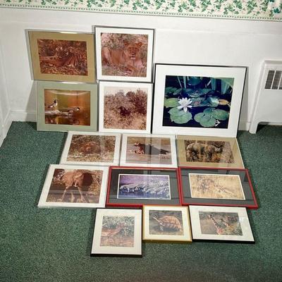 (14PC) LARGE LOT 70S NATURE PHOTOGRAPHY | Includes: Elephants, lions, hippos, oxen, giraffes, ducks, rhinos, tigers, and more all framed....
