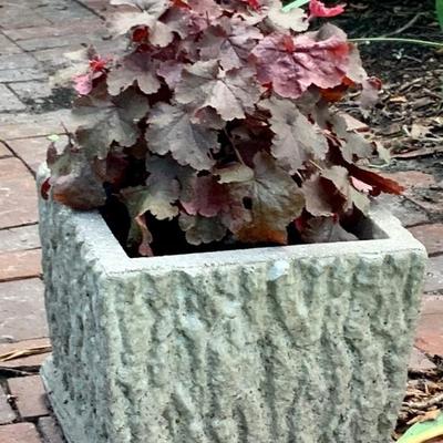 concrete planters