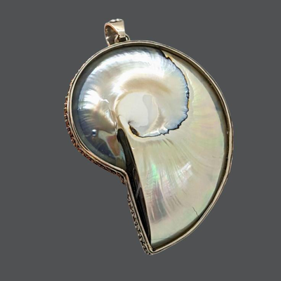Sterling and Nautilus Spiral Shell Pendant Signed JB