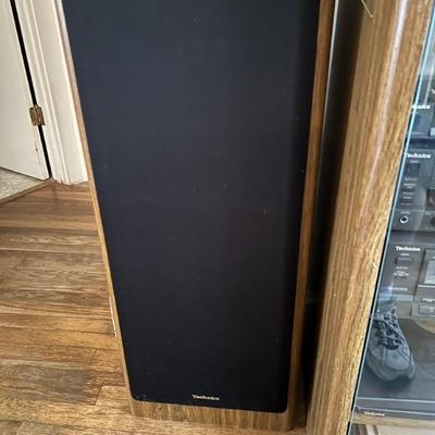 Technics Tall Speaker (2)