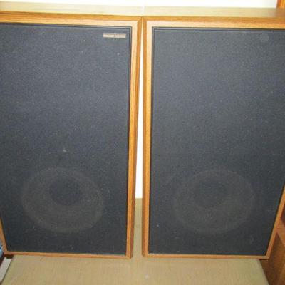 American Acoustics D-5550E speakers