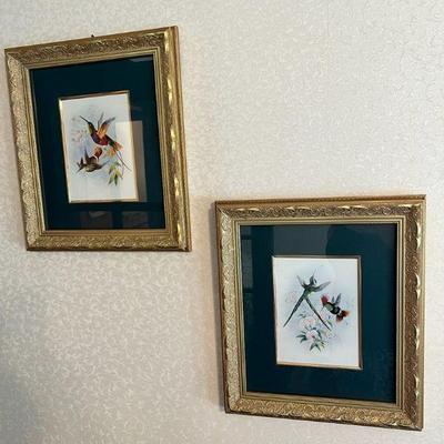 (4) Framed Hummingbird Prints
