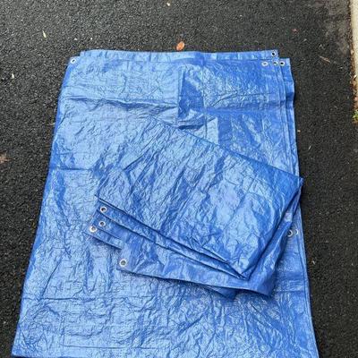 Small tarps