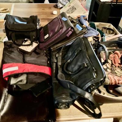 Ladies Bags