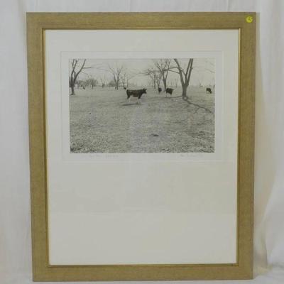 Alan W. Jackson Photograph Cows and Pecan Trees, Johns Island, South Carolina. Pencil signed. Professionally framed. In frame measures...