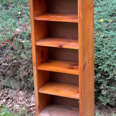 Bold Pine Bookshelf
