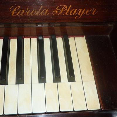 Carola Player