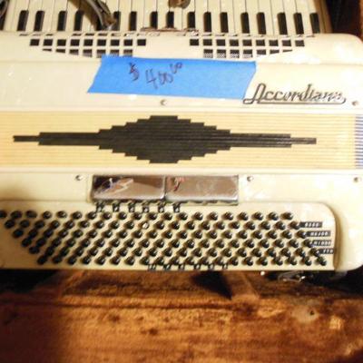 Accordian with case