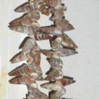 Shell necklace