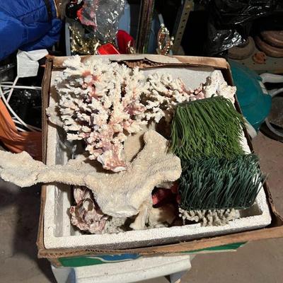 Real Coral Fish Tank Scenery Coral $10-20/piece; Faux Grass $5/each